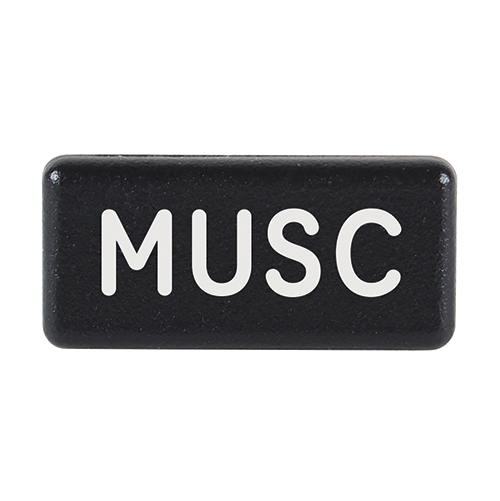 Horizontal Legend Cap | MUSC