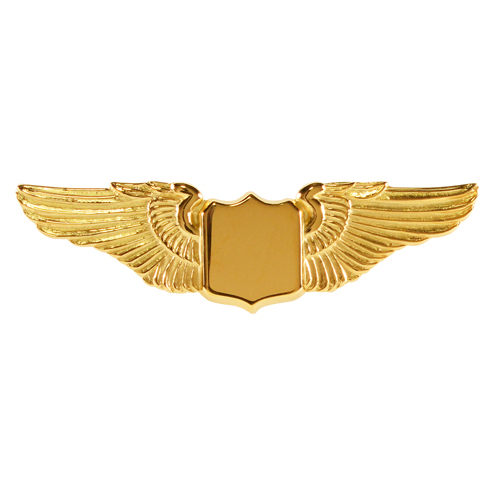 Flight Wings Pin | Gold, 1-1/2 Inch